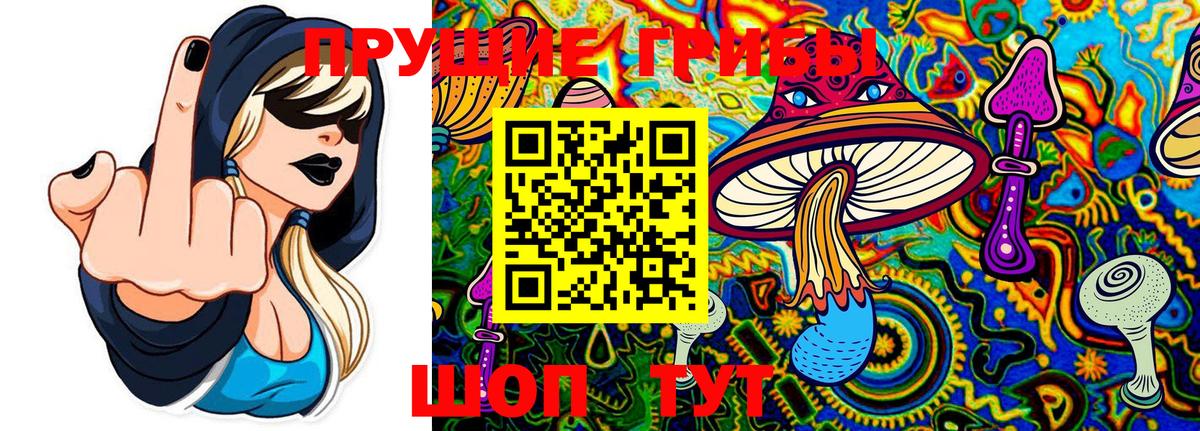 Псилоцибиновые грибы Cubensis Солнечногорск